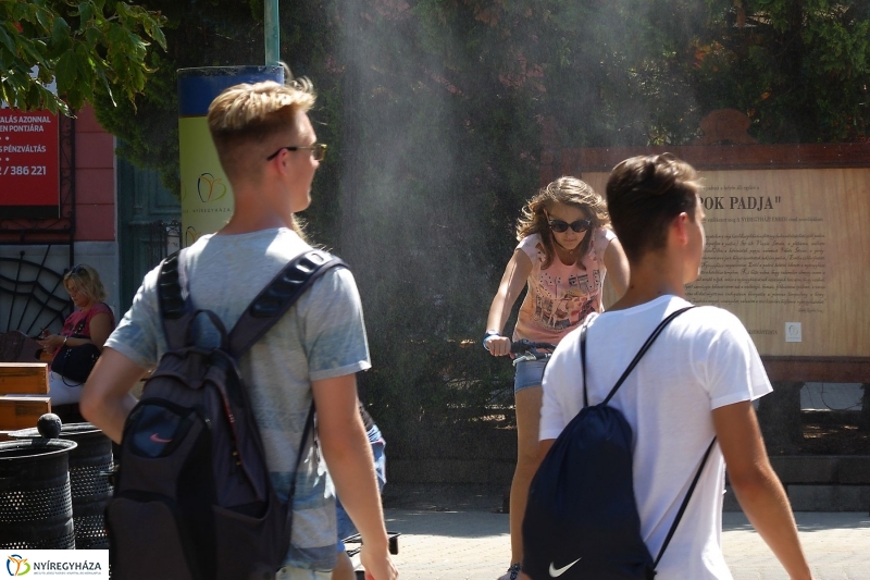 Kánikula - fotó Szarka Lajos