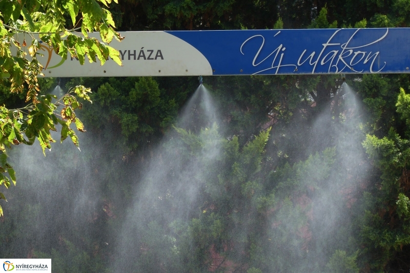 Kánikula - fotó Szarka Lajos