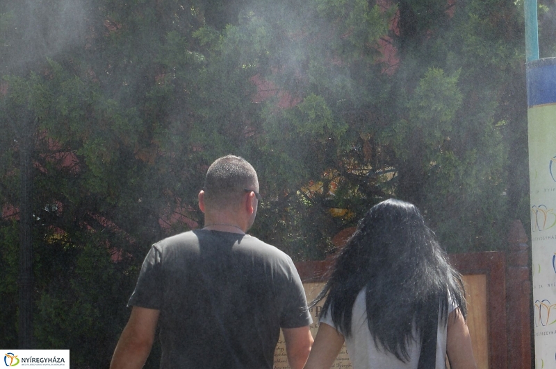 Kánikula - fotó Szarka Lajos