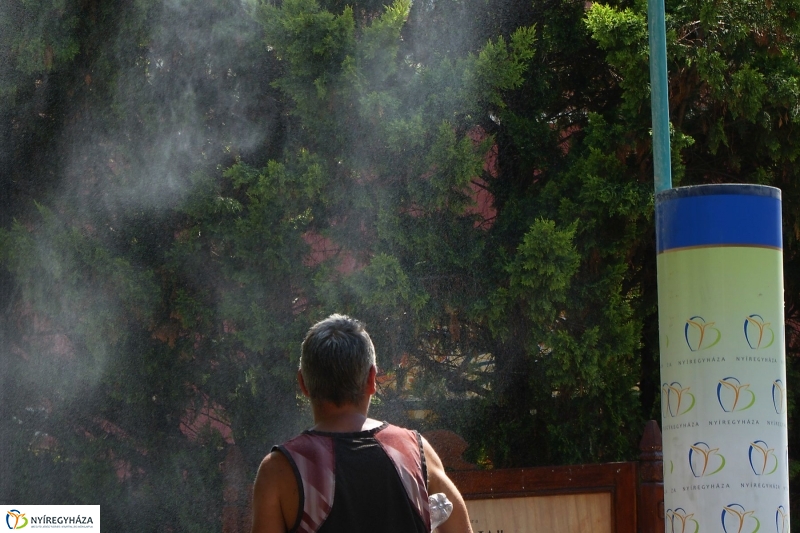 Kánikula - fotó Szarka Lajos