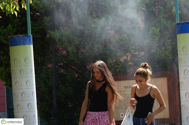 Kánikula - fotó Szarka Lajos