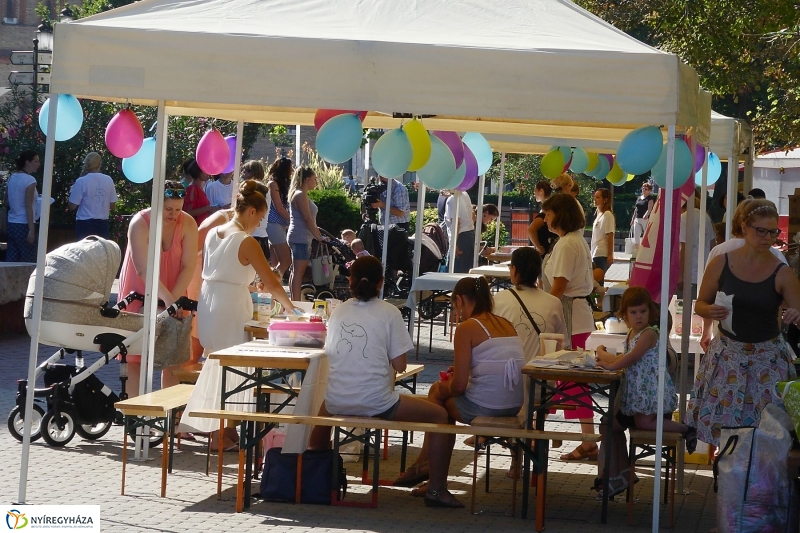 Anyatejes Világnap 2017 - fotó Szarka Lajos