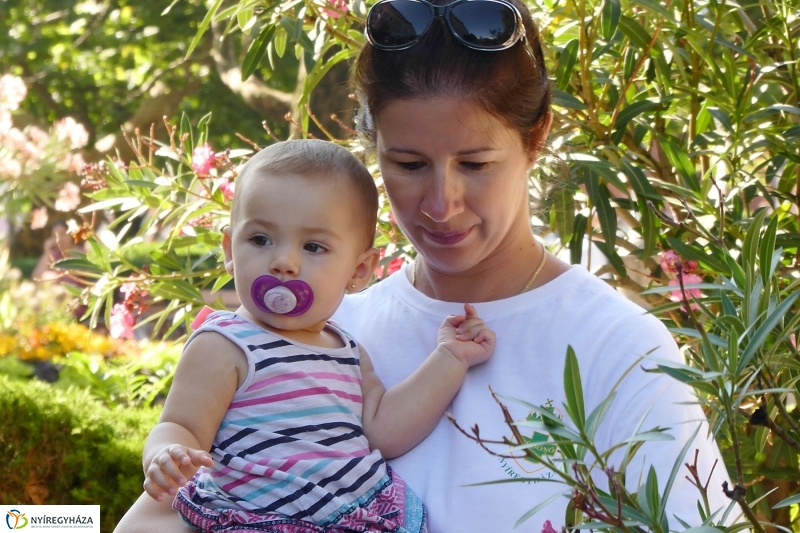 Anyatejes Világnap 2017 - fotó Szarka Lajos