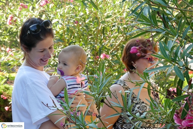 Anyatejes Világnap 2017 - fotó Szarka Lajos