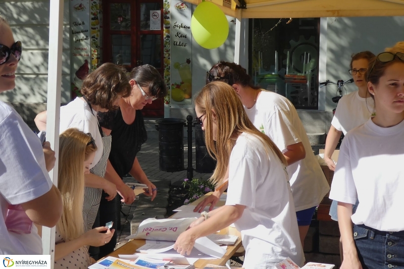 Anyatejes Világnap 2017 - fotó Szarka Lajos