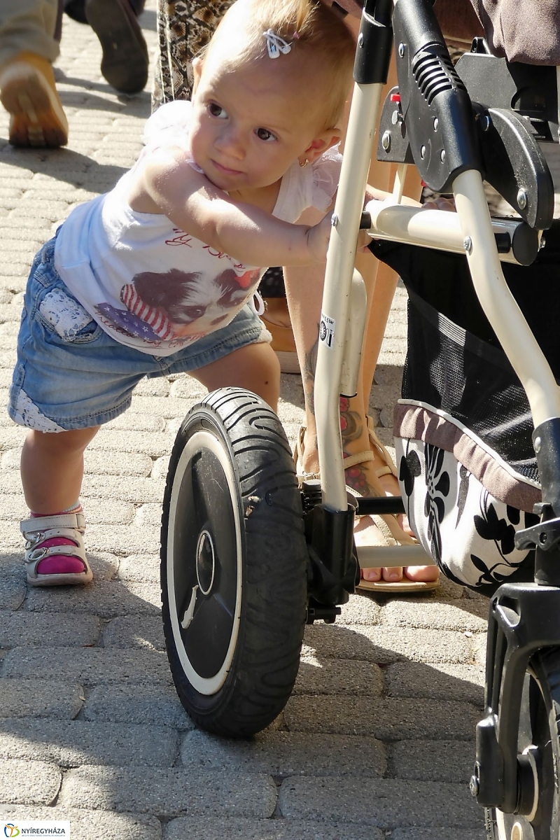 Anyatejes Világnap 2017 - fotó Szarka Lajos