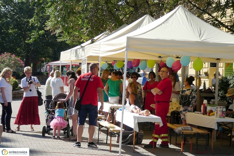 Anyatejes Világnap 2017 - fotó Szarka Lajos