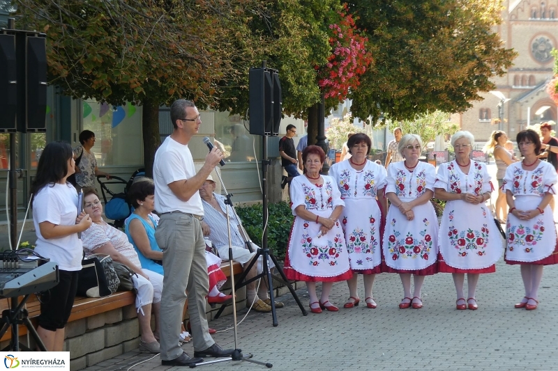 Anyatejes Világnap 2017 - fotó Szarka Lajos