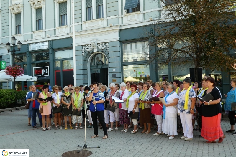 Anyatejes Világnap 2017 - fotó Szarka Lajos