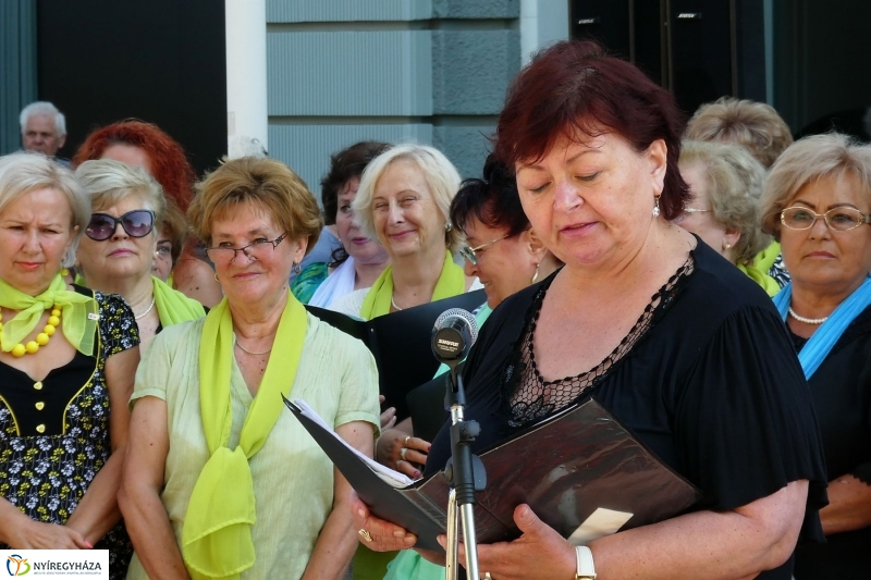 Anyatejes Világnap 2017 - fotó Szarka Lajos