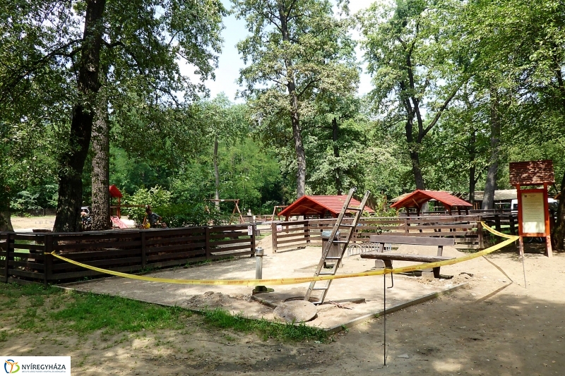 Felújítások a Sóstói erdőben - fotó Szarka Lajos