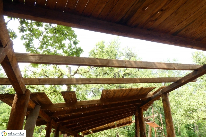 Felújítások a Sóstói erdőben - fotó Szarka Lajos