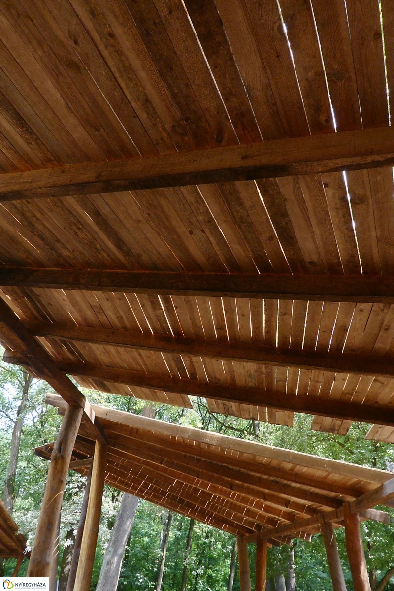 Felújítások a Sóstói erdőben - fotó Szarka Lajos