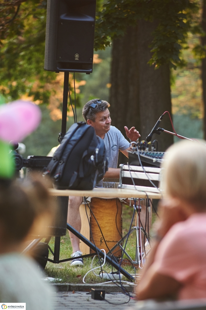 Kis esti zene Sóstón - fotó Szarka Lajos
