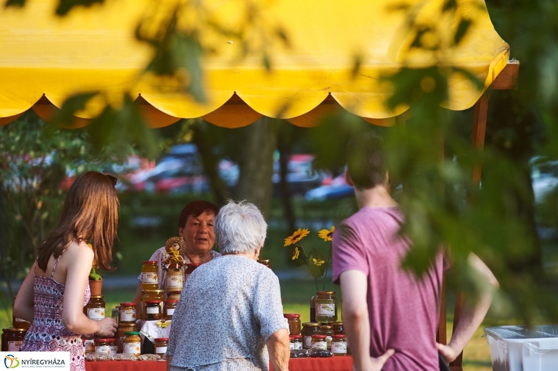 Kis esti zene Sóstón - fotó Szarka Lajos