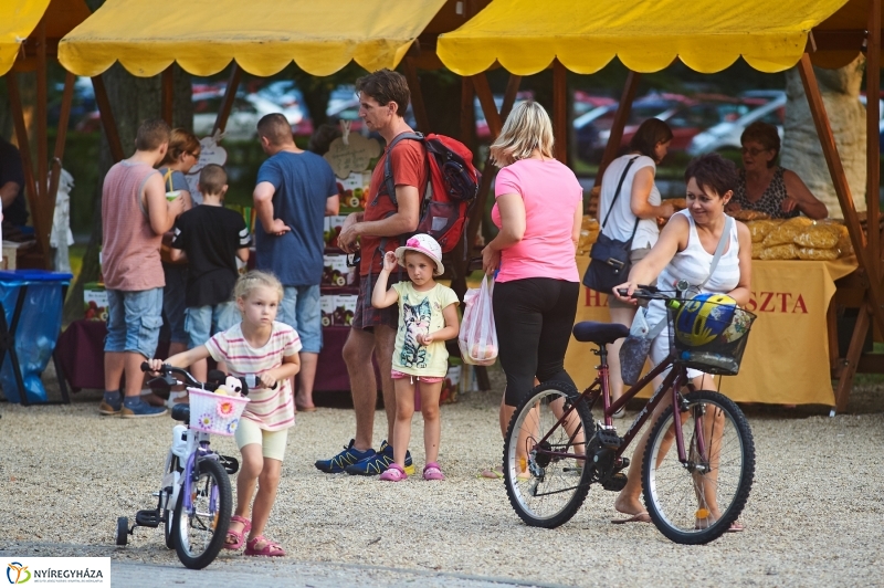 Kis esti zene Sóstón - fotó Szarka Lajos