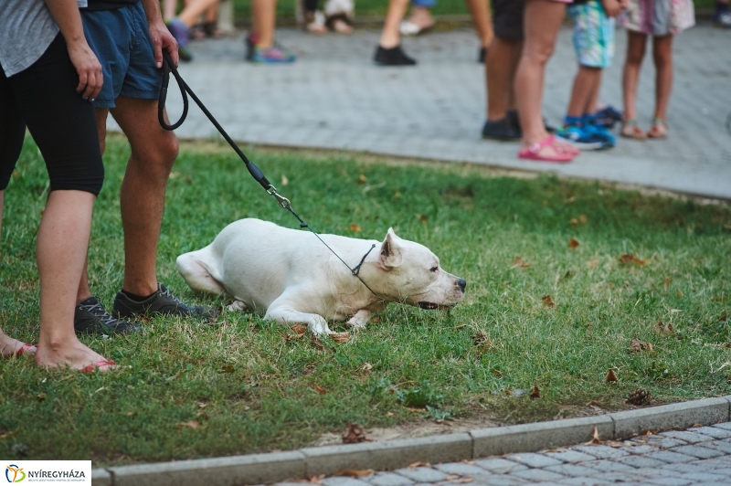 Kis esti zene Sóstón - fotó Szarka Lajos