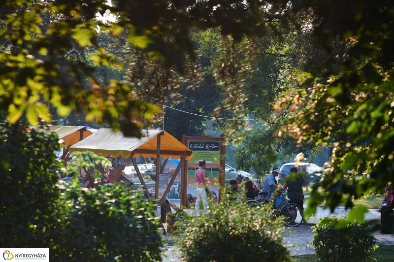 Kis esti zene Sóstón - fotó Szarka Lajos