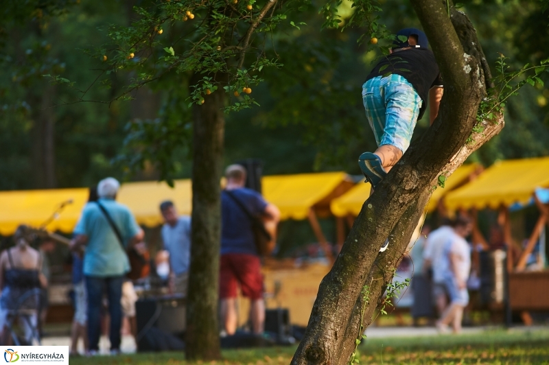 Kis esti zene Sóstón - fotó Szarka Lajos