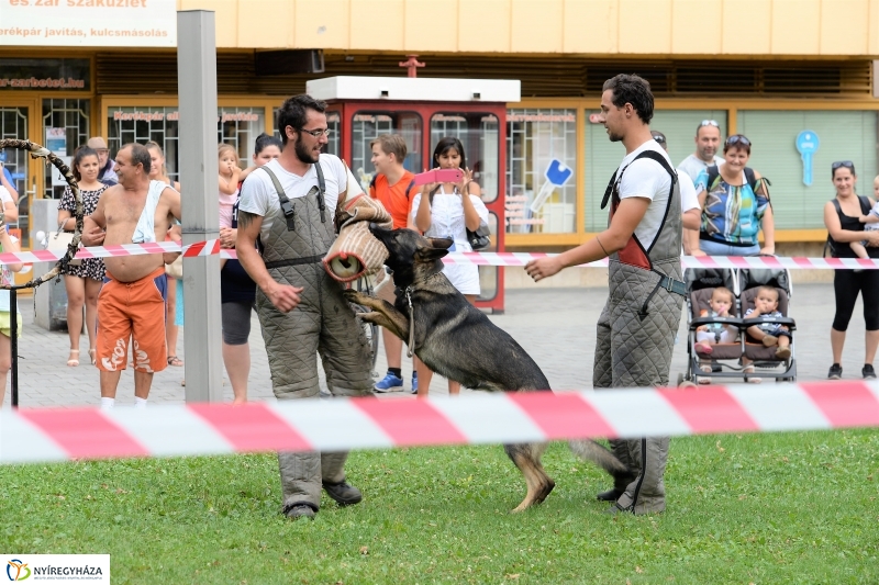 Jósavárosi Napok 2017