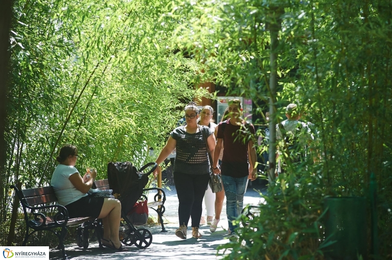 Teltházas Állatpark - fotó Szarka Lajos