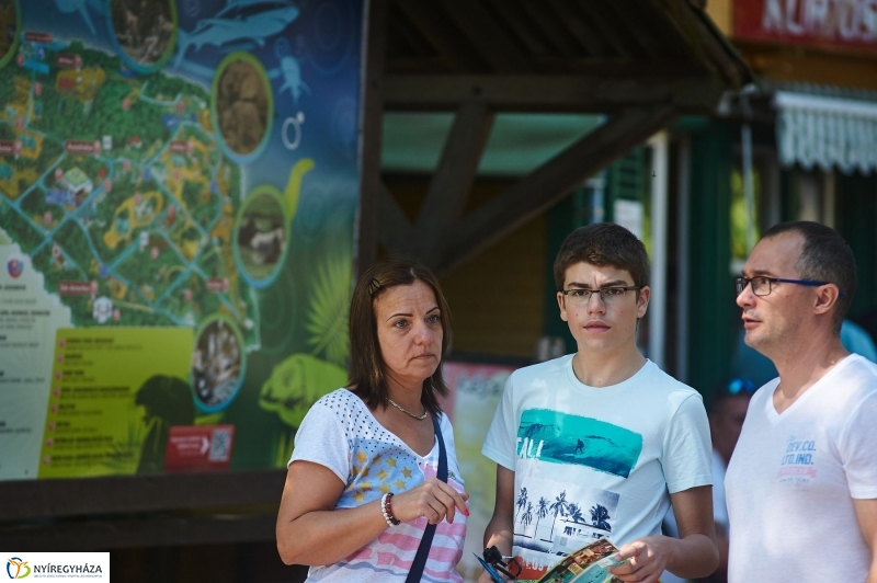 Teltházas Állatpark - fotó Szarka Lajos