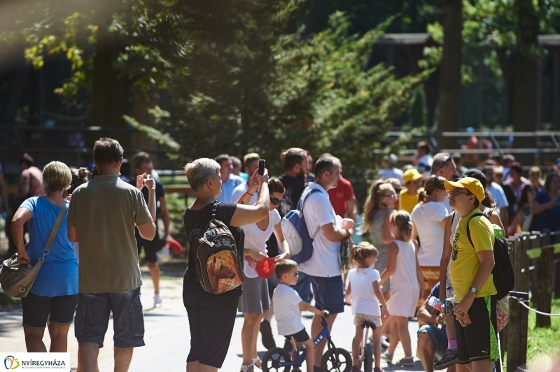 Teltházas Állatpark - fotó Szarka Lajos