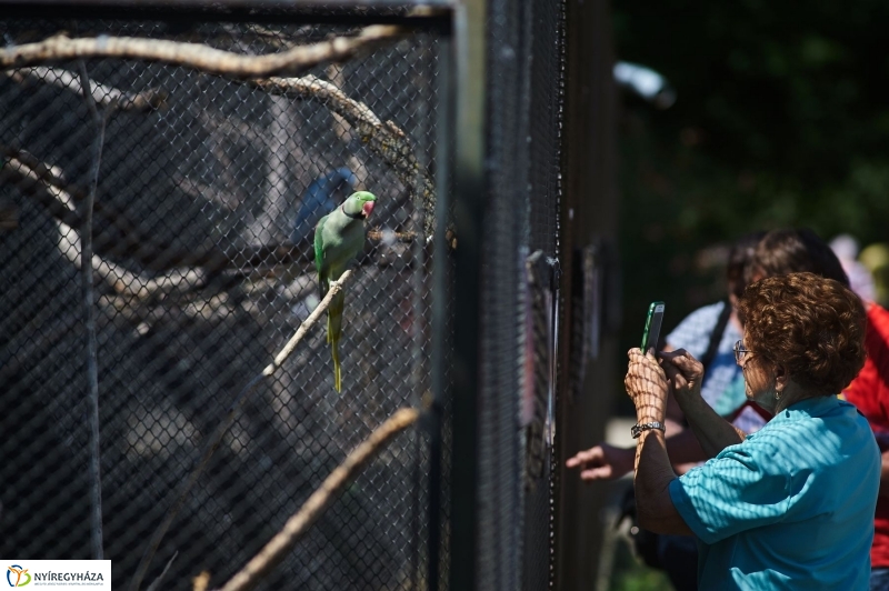 Teltházas Állatpark - fotó Szarka Lajos