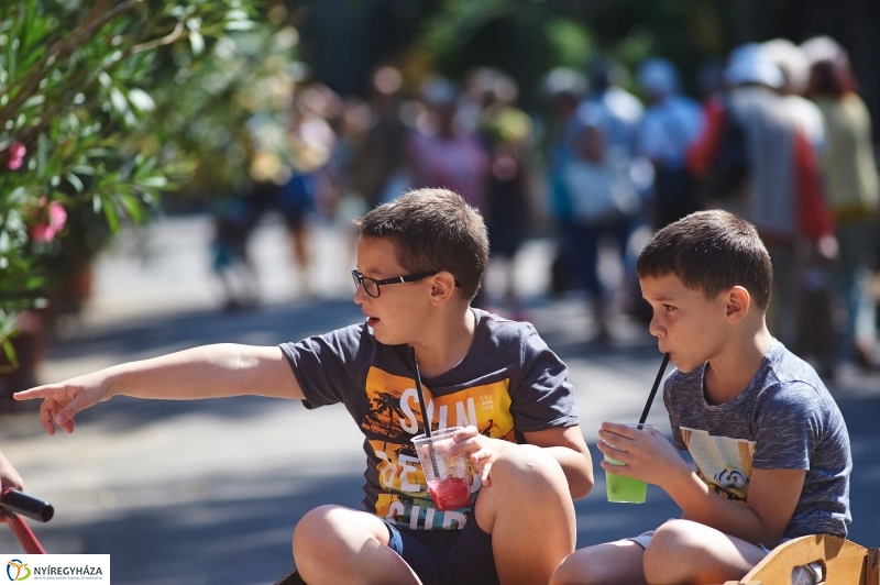 Teltházas Állatpark - fotó Szarka Lajos