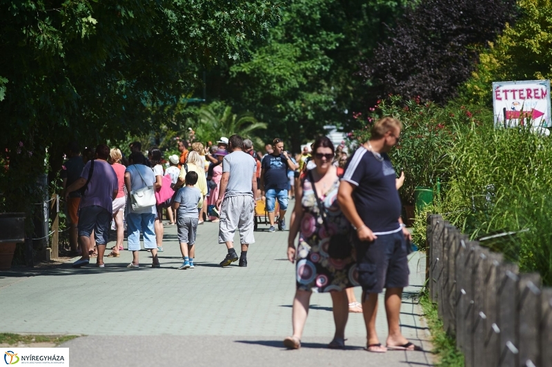 Teltházas Állatpark - fotó Szarka Lajos
