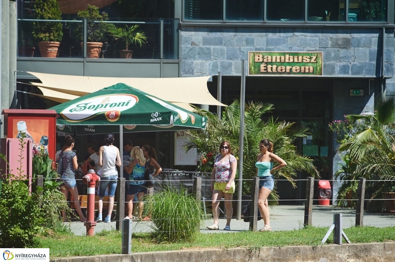 Teltházas Állatpark - fotó Szarka Lajos