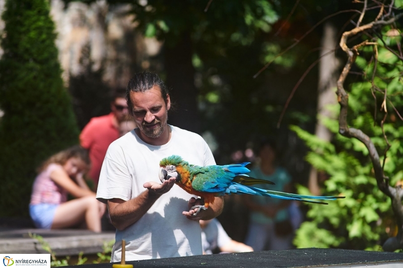 Teltházas Állatpark - fotó Szarka Lajos