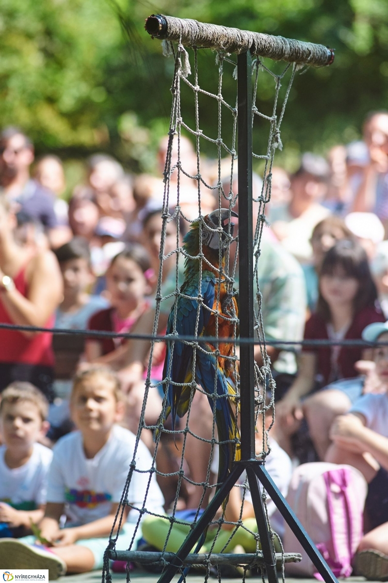 Teltházas Állatpark - fotó Szarka Lajos