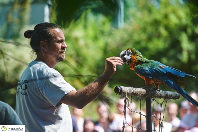 Teltházas Állatpark - fotó Szarka Lajos
