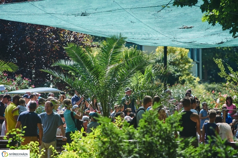 Teltházas Állatpark - fotó Szarka Lajos