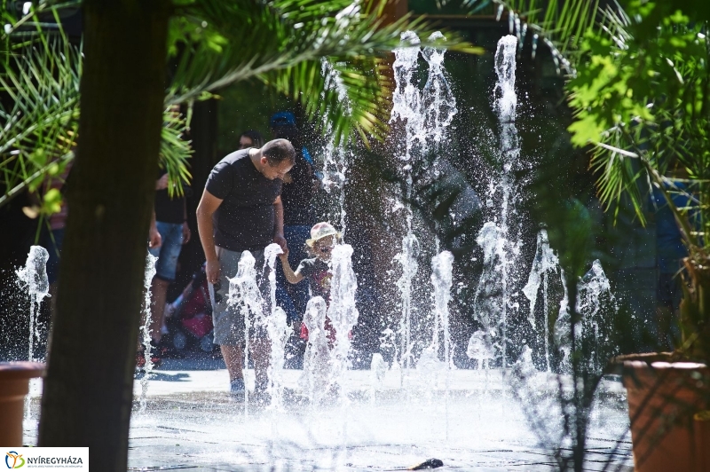 Teltházas Állatpark - fotó Szarka Lajos