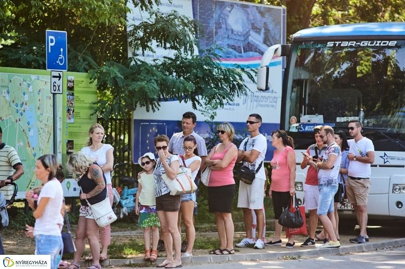 Teltházas Állatpark - fotó Szarka Lajos