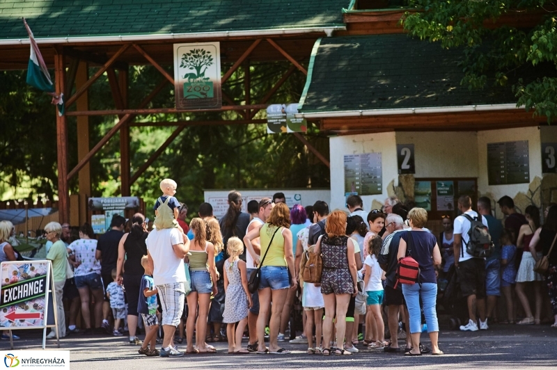 Teltházas Állatpark - fotó Szarka Lajos