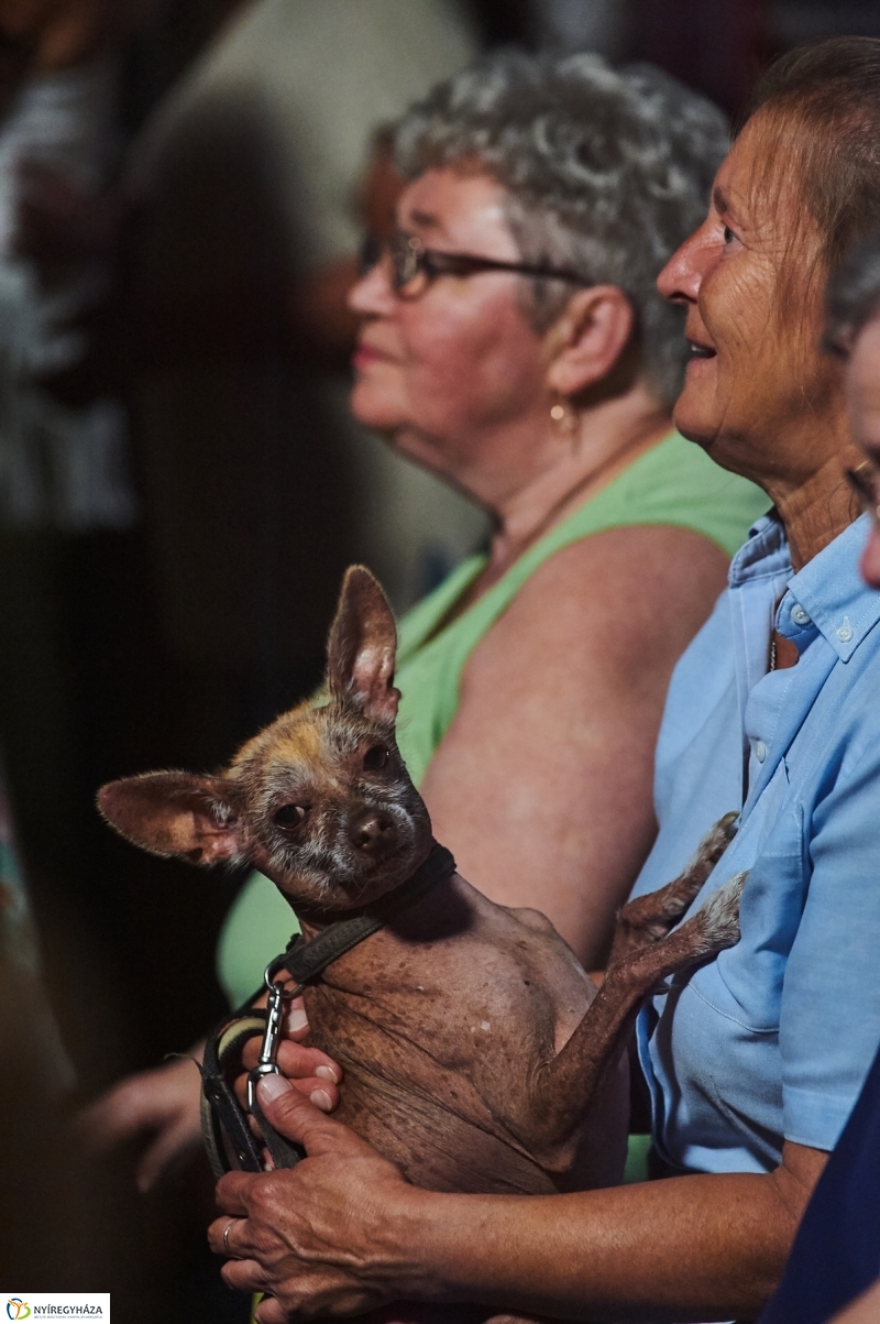 Nemzetközi Néptáncfesztivál 2017-2 - fotó Szarka Lajos