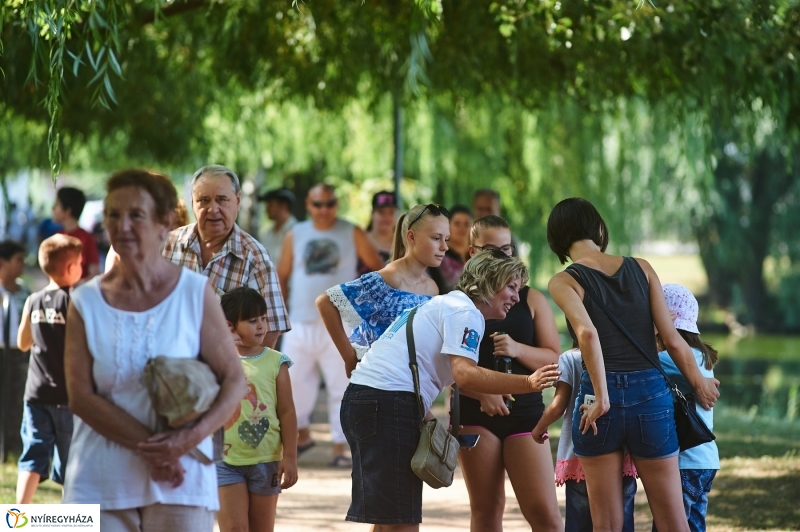Úszó alkalmatlanságok - fotó Szarka Lajos