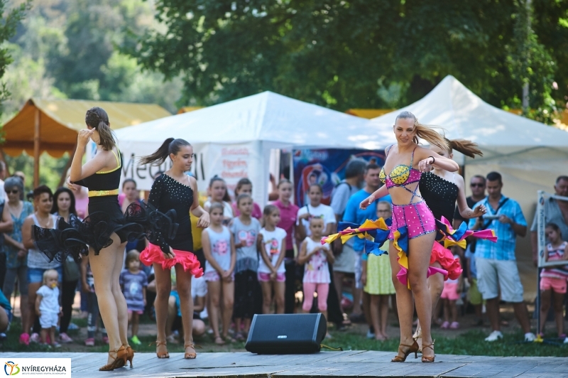 Úszó alkalmatlanságok - fotó Szarka Lajos