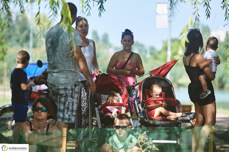 Úszó alkalmatlanságok - fotó Szarka Lajos