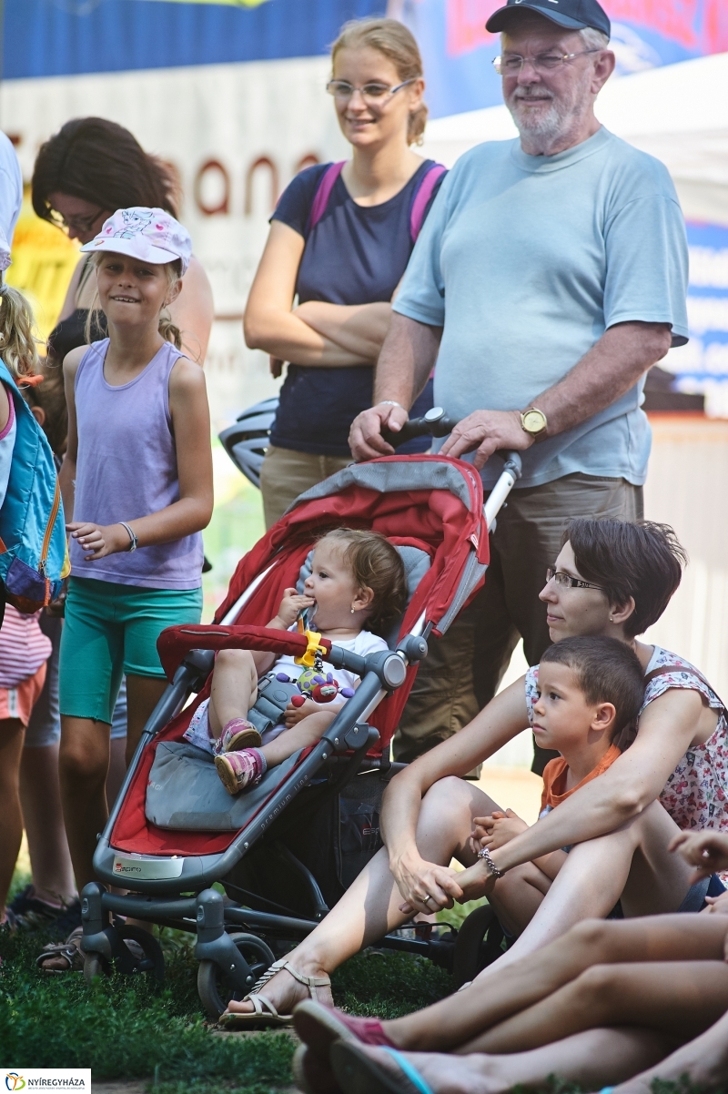 Úszó alkalmatlanságok - fotó Szarka Lajos