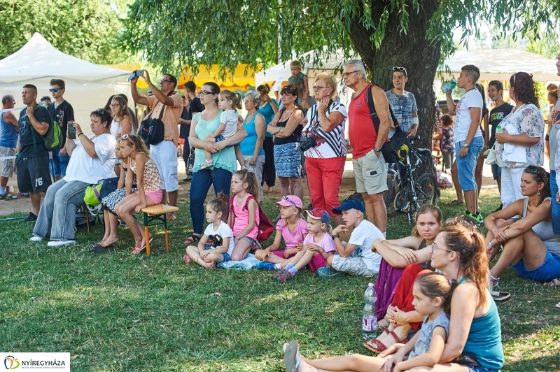 Úszó alkalmatlanságok - fotó Szarka Lajos