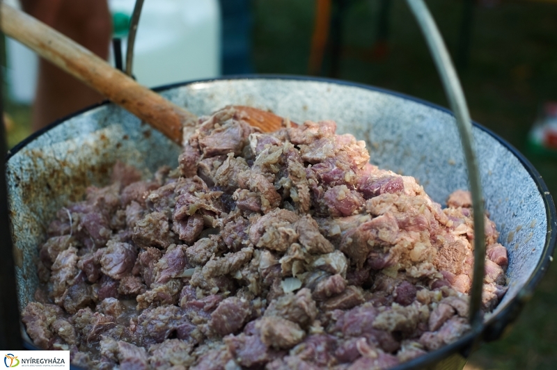 Úszó alkalmatlanságok - fotó Szarka Lajos