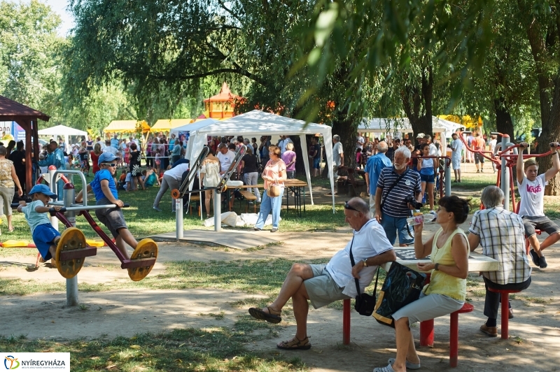 Úszó alkalmatlanságok - fotó Szarka Lajos