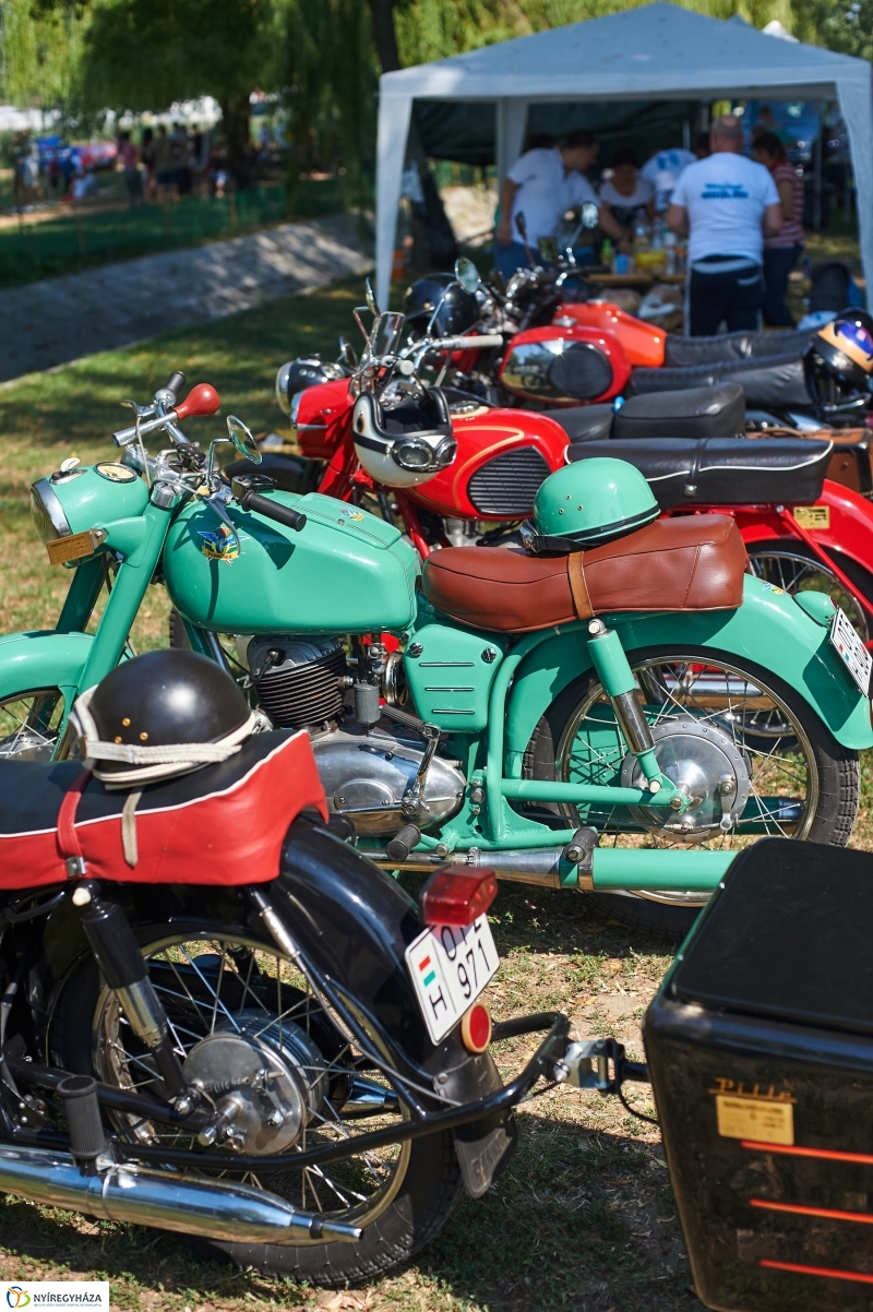 Úszó alkalmatlanságok - fotó Szarka Lajos