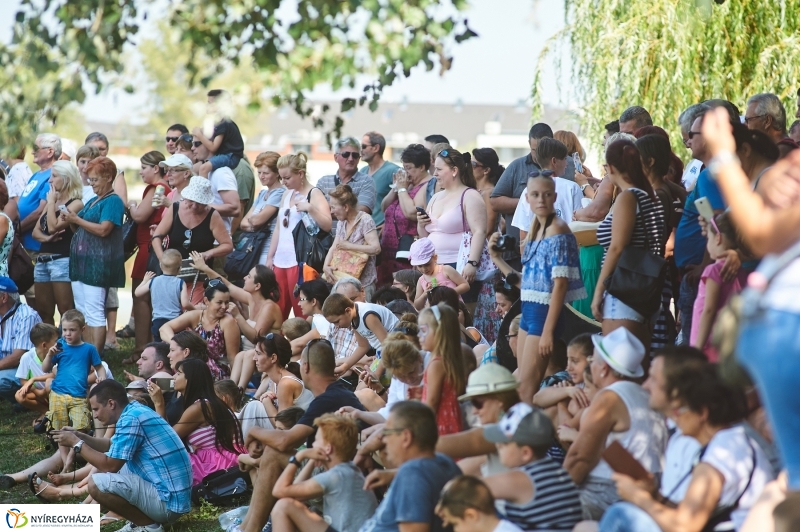 Úszó alkalmatlanságok - fotó Szarka Lajos