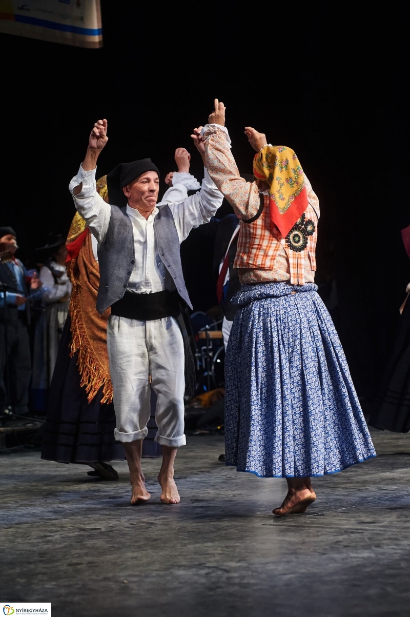 Nemzetközi Néptáncfesztivál Gála 2017 - fotó Szarka Lajos