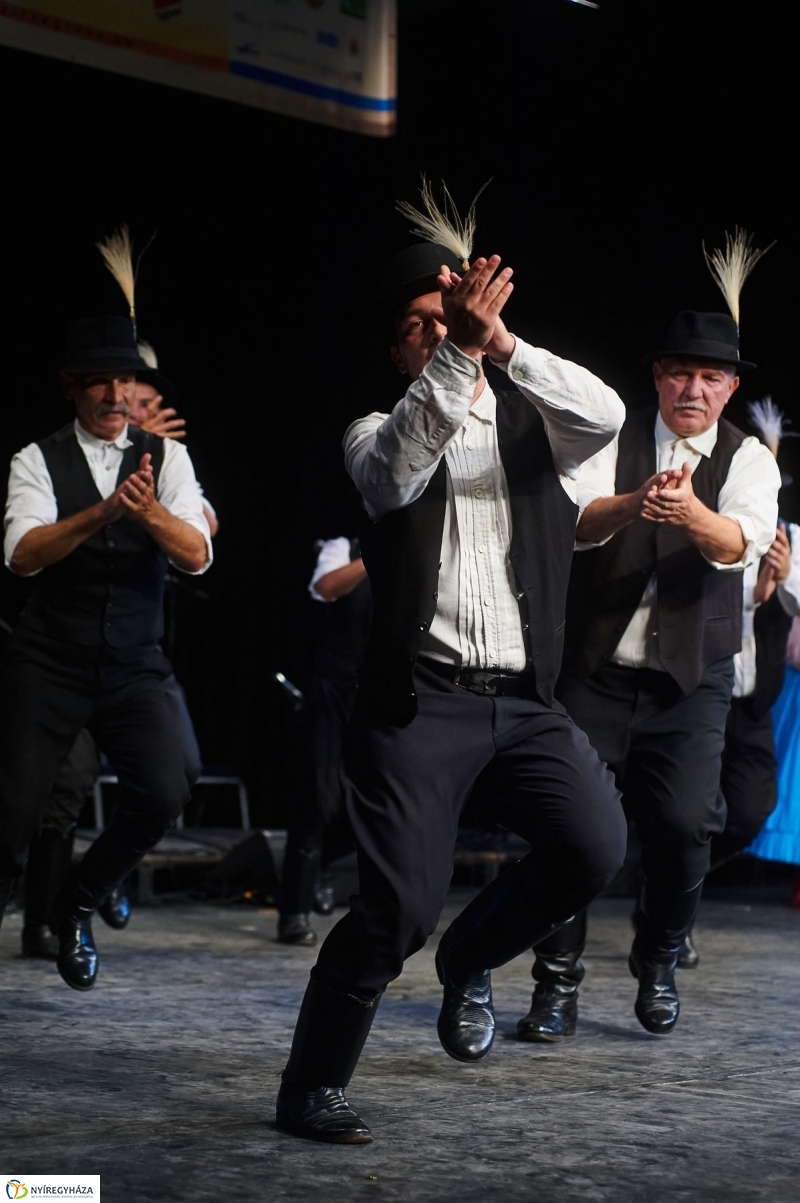 Nemzetközi Néptáncfesztivál Gála 2017 - fotó Szarka Lajos